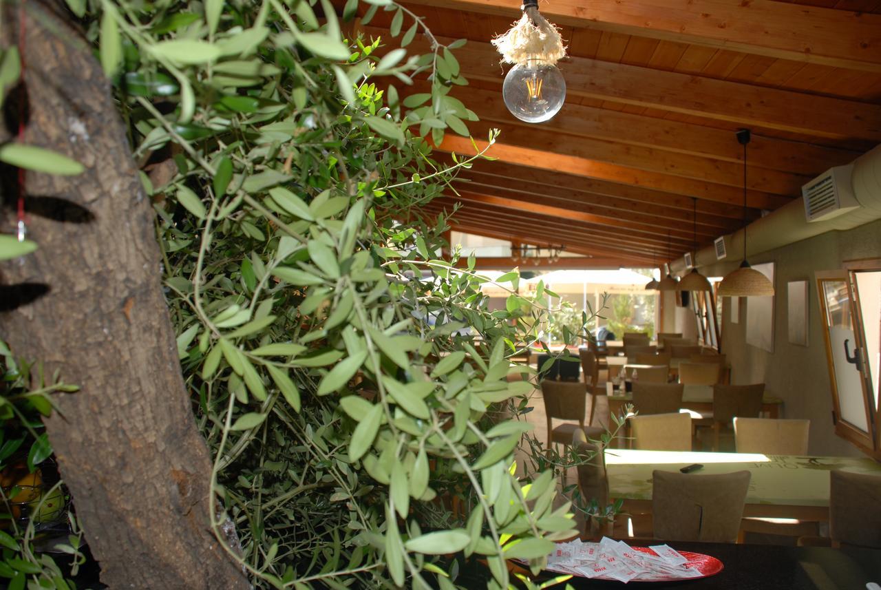 Sarandë Olive Tree酒店 外观 照片